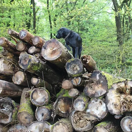 Forstgut Stuebeckshorn Séjour à la campagne