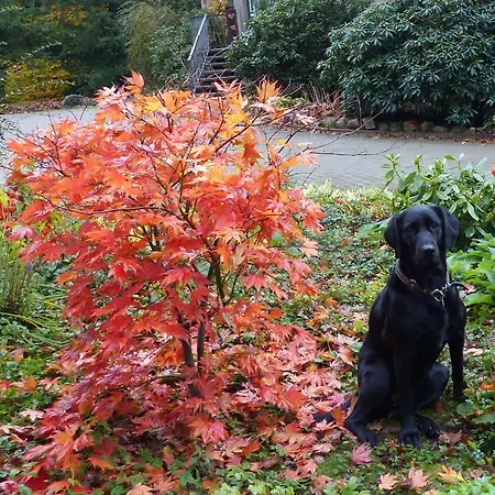 Forstgut Stuebeckshorn