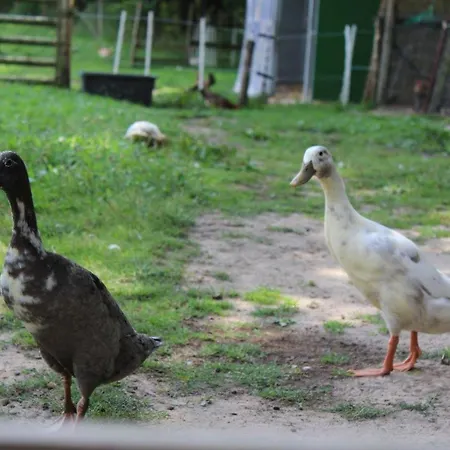 Forstgut Stuebeckshorn