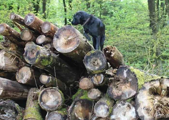 Forstgut Stuebeckshorn Country house
