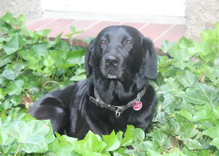 Forstgut Stuebeckshorn