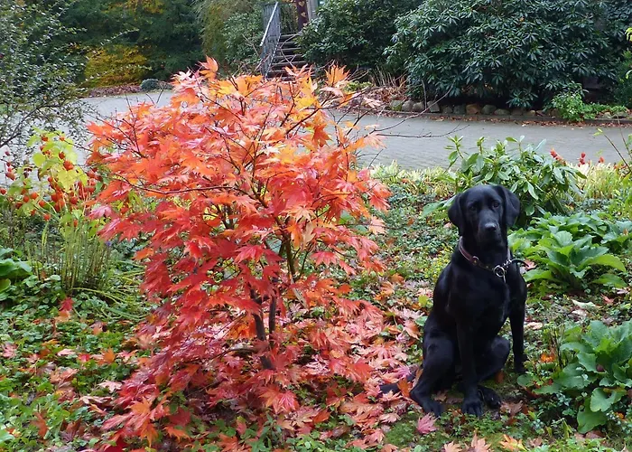 Forstgut Stuebeckshorn
