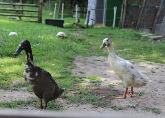 Forstgut Stuebeckshorn