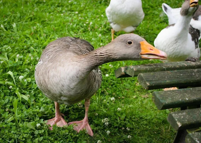 Forstgut Stuebeckshorn